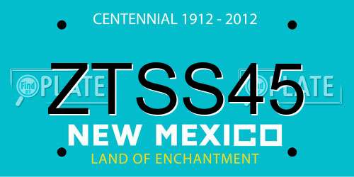 ZTSS45 New Mexico License Plate