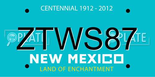 ZTWS87 New Mexico License Plate