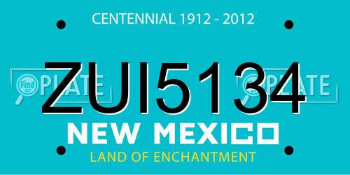 ZUI5134 New Mexico License Plate