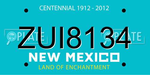 ZUI8134 New Mexico License Plate
