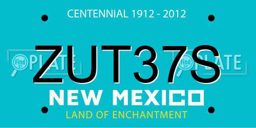 ZUT37S New Mexico License Plate