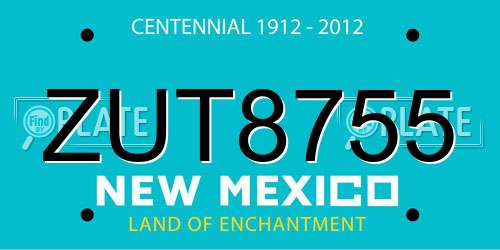 ZUT8755 New Mexico License Plate