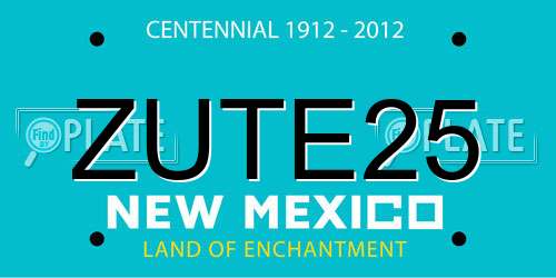 ZUTE25 New Mexico License Plate