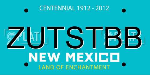 ZUTSTBB New Mexico License Plate