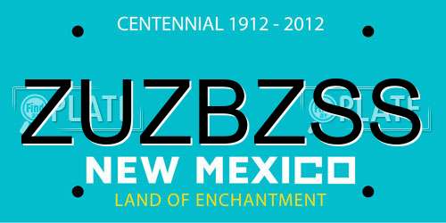 ZUZBZSS New Mexico License Plate