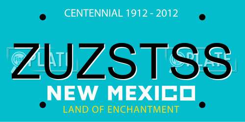 ZUZSTSS New Mexico License Plate