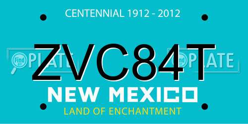 ZVC84T New Mexico License Plate