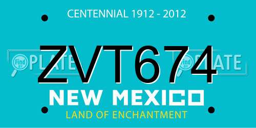ZVT674 New Mexico License Plate