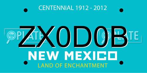 ZX0D0B New Mexico License Plate