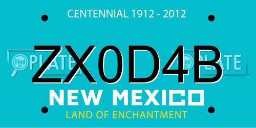 ZX0D4B New Mexico License Plate