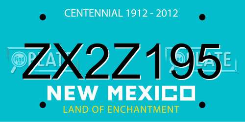 ZX2Z195 New Mexico License Plate