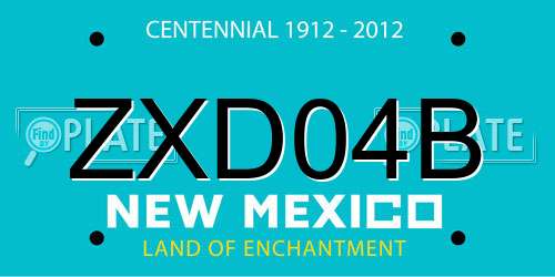 ZXD04B New Mexico License Plate