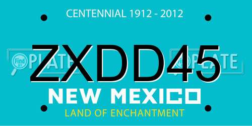 ZXDD45 New Mexico License Plate