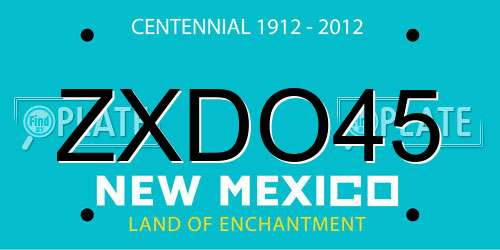 ZXDO45 New Mexico License Plate
