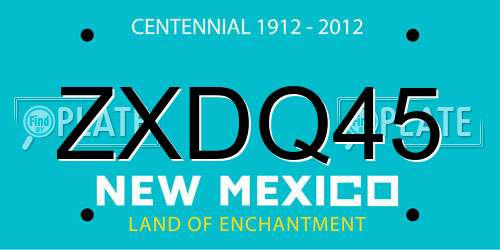 ZXDQ45 New Mexico License Plate