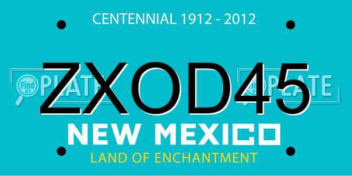 ZXOD45 New Mexico License Plate