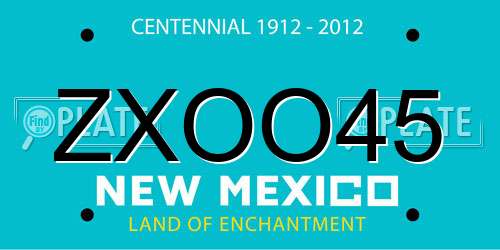 ZXOO45 New Mexico License Plate