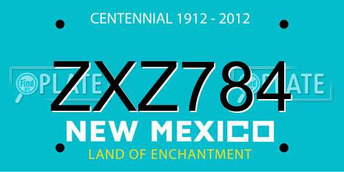 ZXZ784 New Mexico License Plate