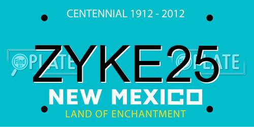 ZYKE25 New Mexico License Plate