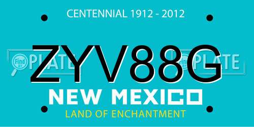 ZYV88G New Mexico License Plate