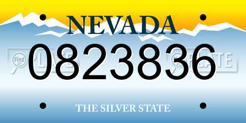 0823836 Nevada License Plate