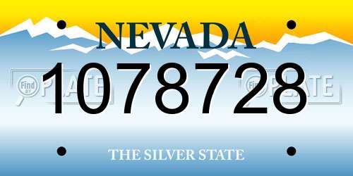 1078728 Nevada License Plate