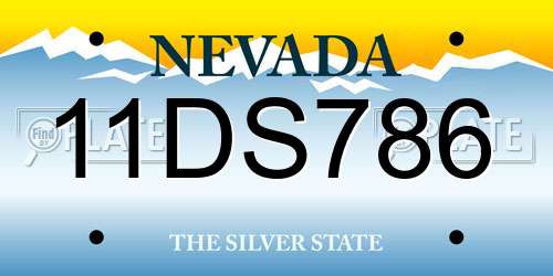 11DS786 Nevada License Plate