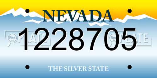 1228705 Nevada License Plate