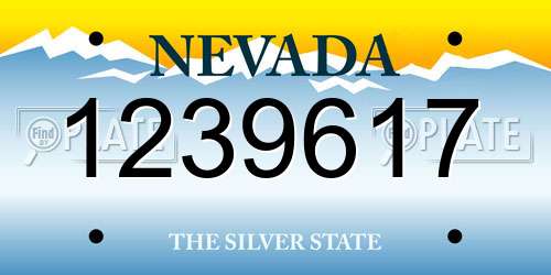 1239617 Nevada License Plate