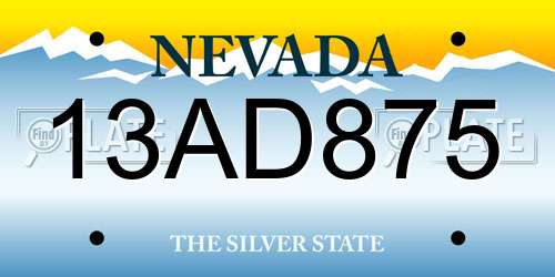 13AD875 Nevada License Plate