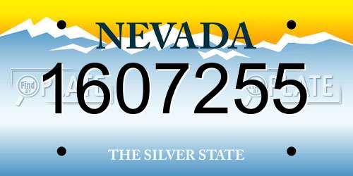 1607255 Nevada License Plate