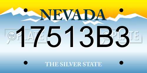 17513B3 Nevada License Plate