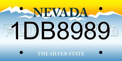 1DB8989 Nevada License Plate