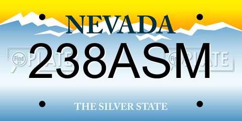 238ASM Nevada License Plate