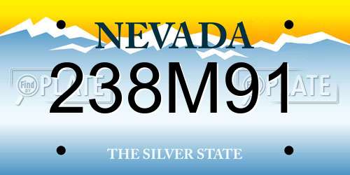 238M91 Nevada License Plate