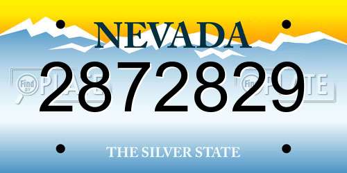 2872829 Nevada License Plate