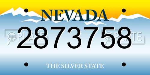 2873758 Nevada License Plate