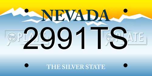 2991TS Nevada License Plate