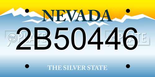 2B50446 Nevada License Plate