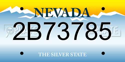 2B73785 Nevada License Plate