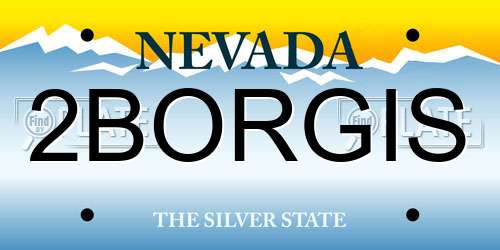 2BORGIS Nevada License Plate