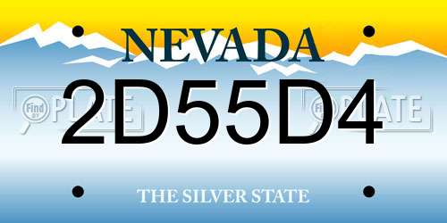 2D55D4 Nevada License Plate