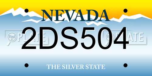 2DS504 Nevada License Plate