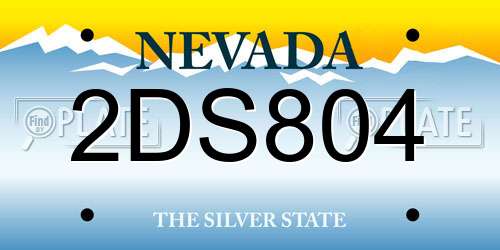 2DS804 Nevada License Plate