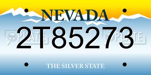 2T85273 Nevada License Plate