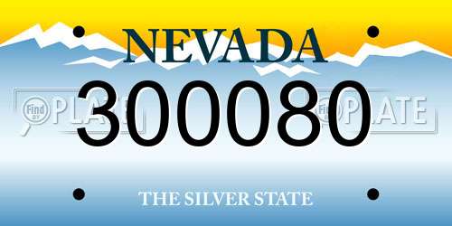 300080 Nevada License Plate