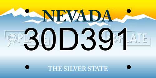 30D391 Nevada License Plate