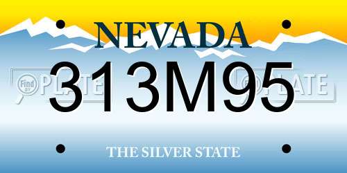 313M95 Nevada License Plate