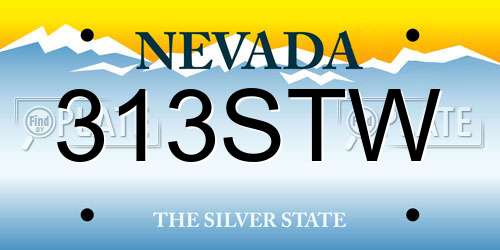 313STW Nevada License Plate