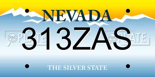 313ZAS Nevada License Plate